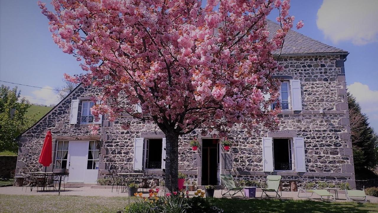 Maison d'Hôtes La Nichée Rochefort-Montagne Exterior foto